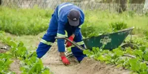 UK Seasonal Work (Indian passports)