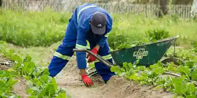 UK Seasonal Work (Indian passports)